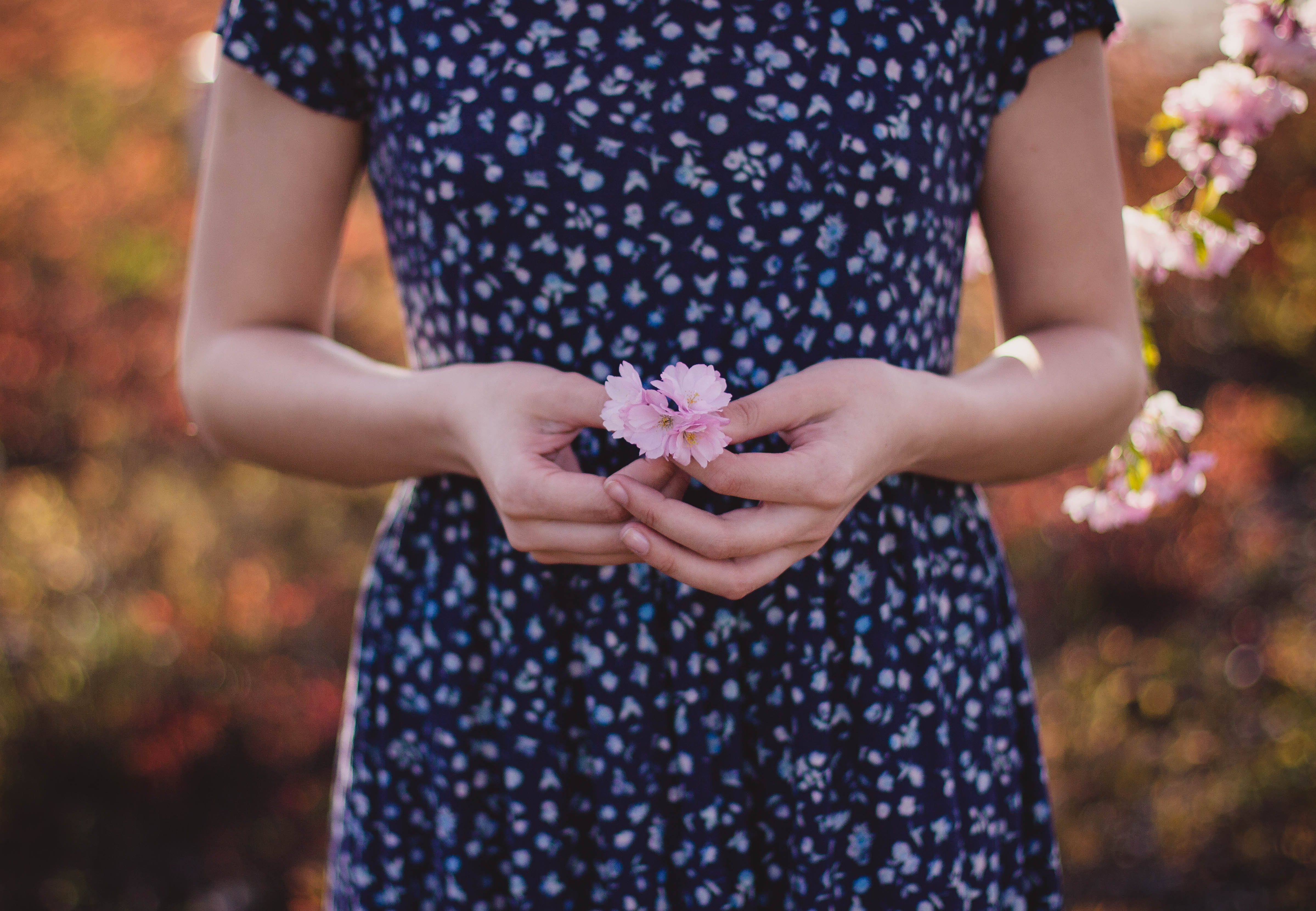 Versatile Blogger Tag
