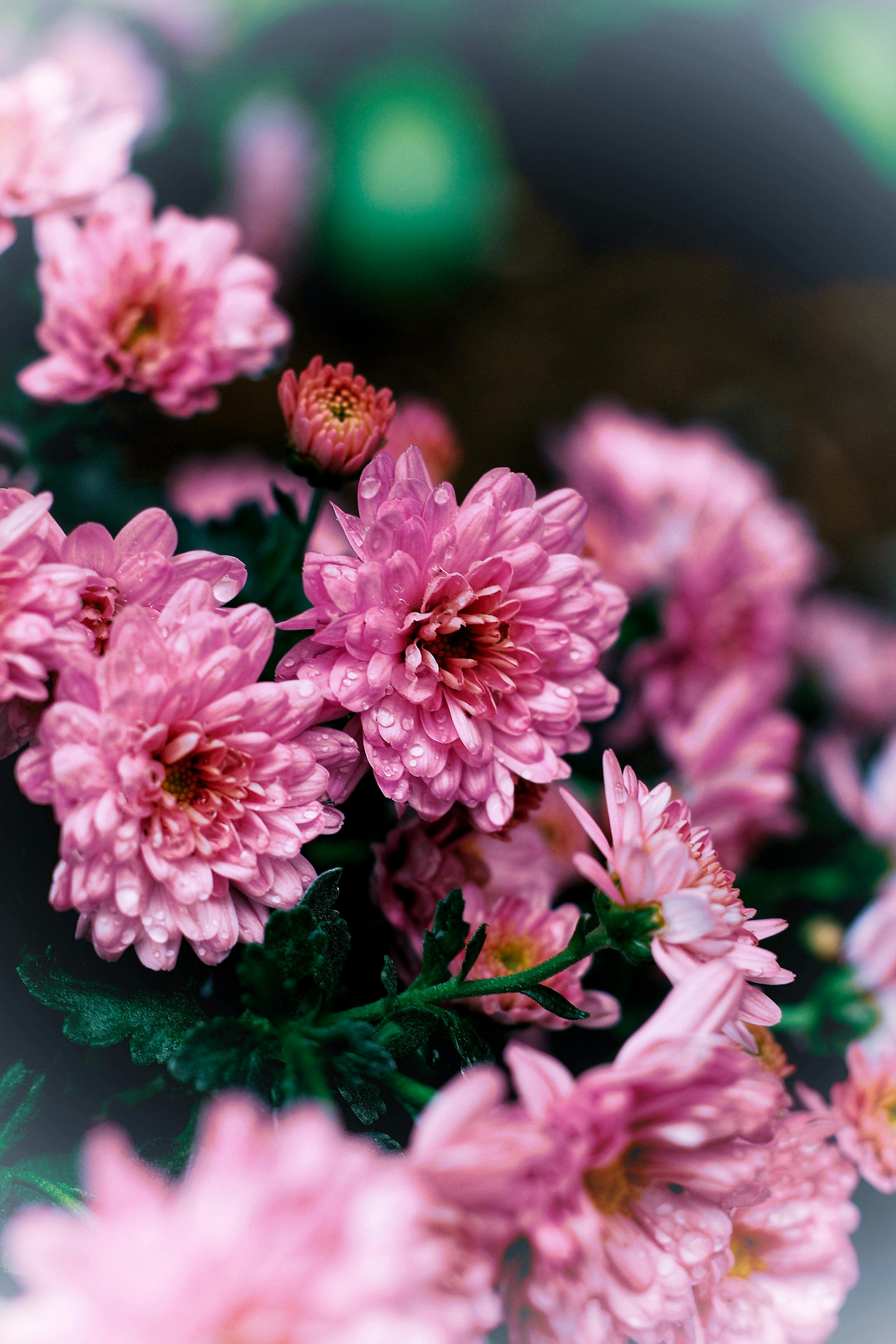 5 Ways To Find Inspiration When You’re Stuck