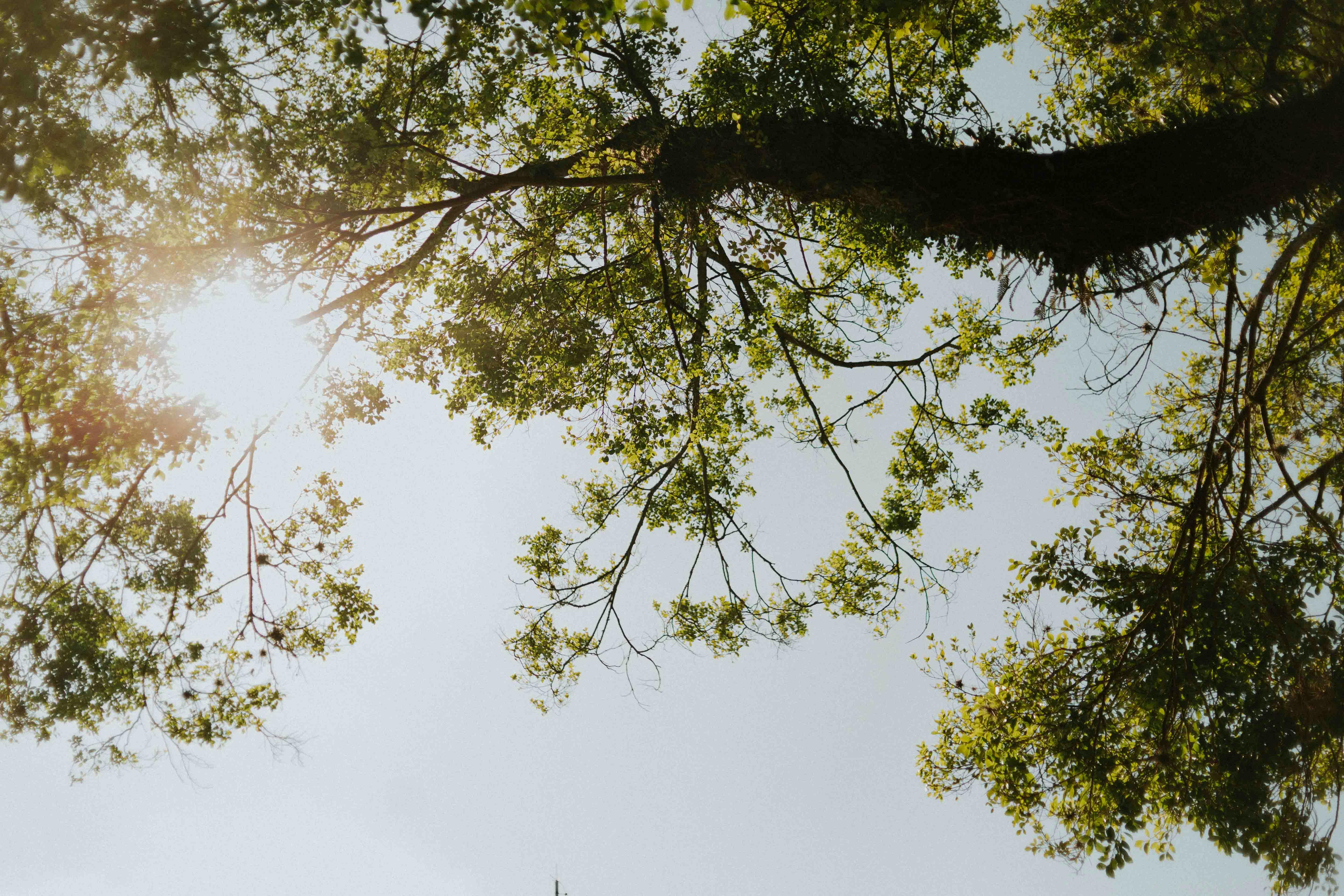 Why I Don’t Like The Phrase “It Is What It Is”