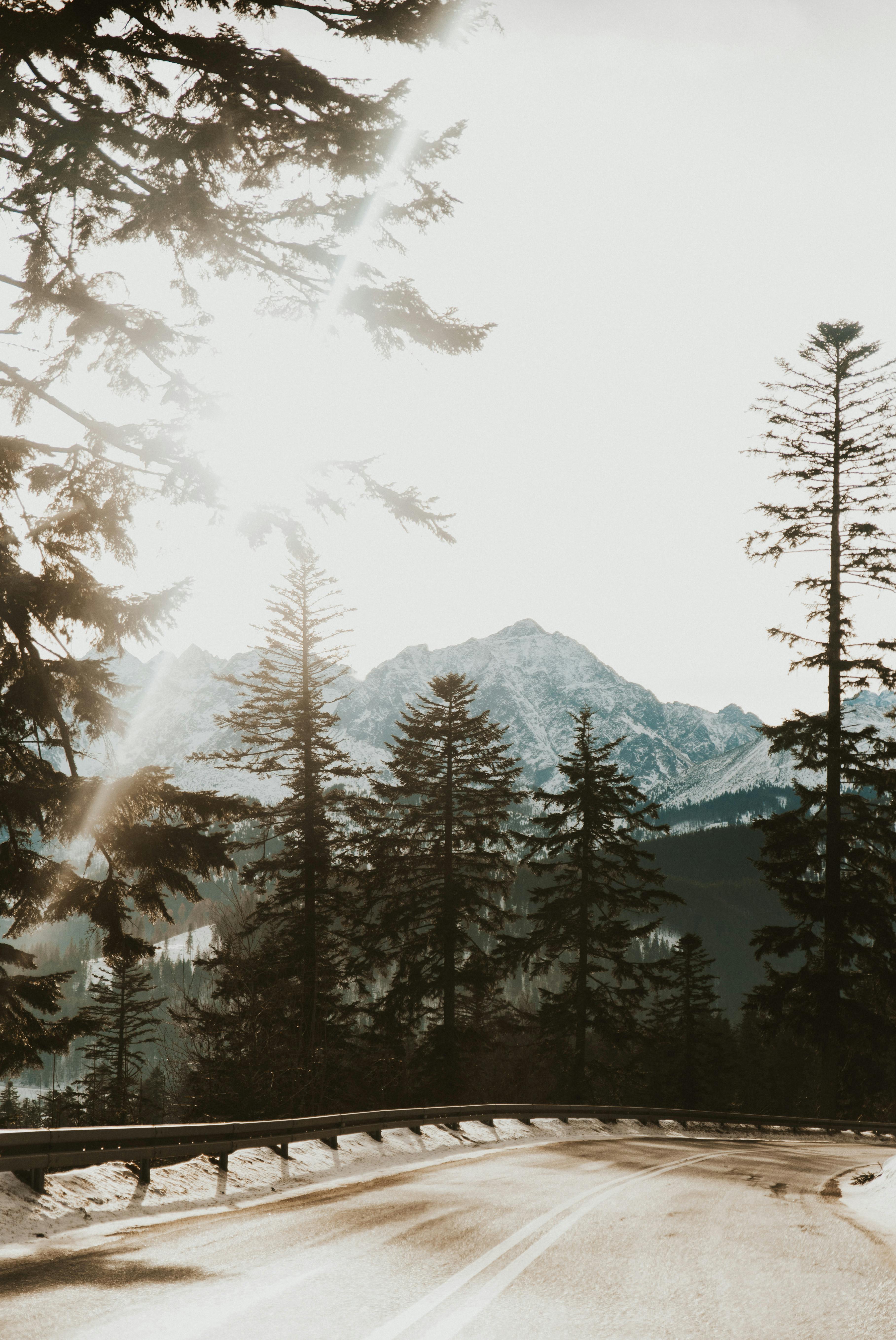 How To Get Awesome Free Photos